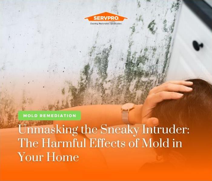 a picture of mold on the walls of a house with the owner looking stressed