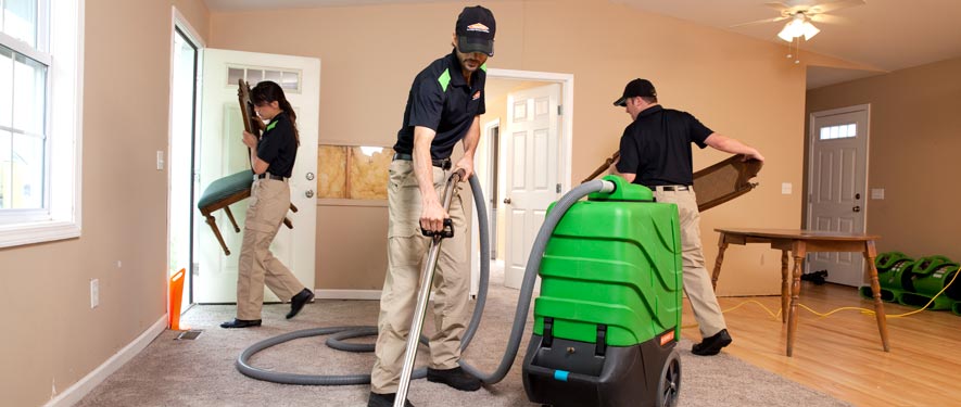 Livingston, NJ cleaning services